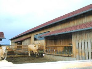 Holzbau in der Landwirtschaft - Holzbau Niederösterreich