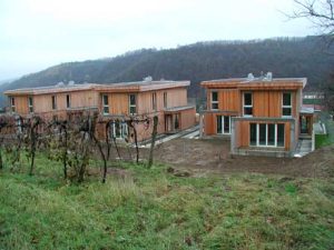 Mehrfamilienhaus Generationenhaus aus Holz - Holzbau Niederösterreich