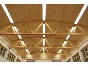 Holzbau Niederösterreich - Hallen aus Holz