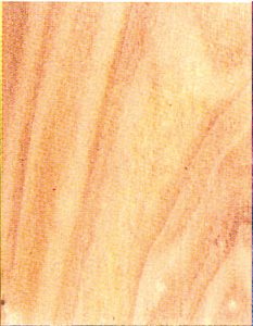 Holzlexikon Pappel