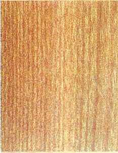 Holzlexikon Ulme